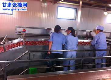 甘州區(qū)食藥監(jiān)管所強(qiáng)化食品生產(chǎn)與銷售環(huán)節(jié)專項檢查