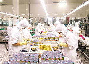 神栗公司 靠山養(yǎng)山，以林果產(chǎn)業(yè)架起深山與世界的致富橋梁