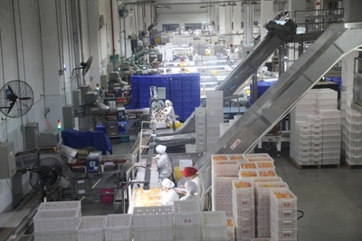 遂寧 以“智改數轉”為傳統產業“換芯”，驅動食品銷售升級