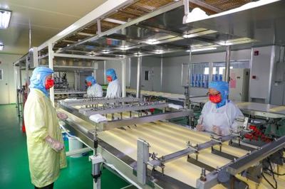 鉚足干勁忙生產(chǎn)，產(chǎn)業(yè)發(fā)展勢頭足——透視現(xiàn)代食品生產(chǎn)的蓬勃?dú)庀?></a></div>
<div   id=