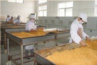 精選肉松批發(fā) 黃金松、原味、辣味、雞肉松一站式供應(yīng)，量大優(yōu)惠包郵