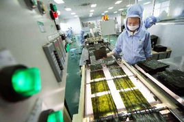 提質(zhì)增效拓市場(chǎng) 我國(guó)企業(yè)加緊生產(chǎn)對(duì)日出口食品