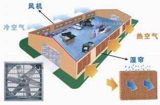 新型廠房節能通風降溫解決方案 水簾風機系統——原理、優勢與高清實圖解析